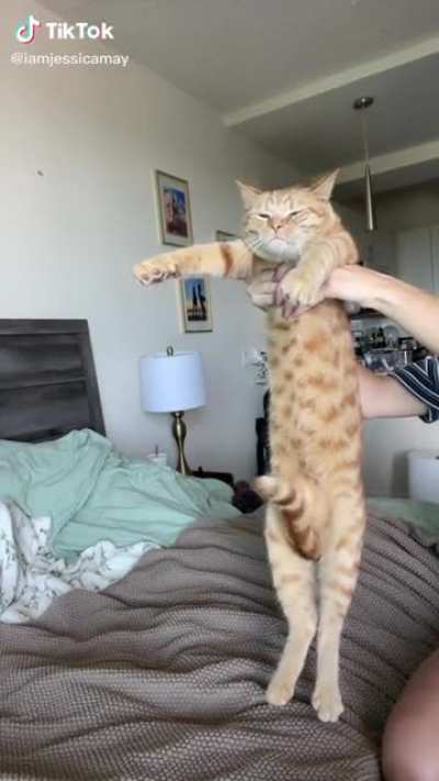 It&rsquo;s scanning the area