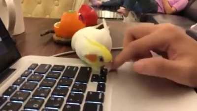 "I steal your key."
