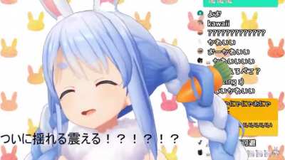 Pekora&rsquo;s new 3D model UwU
