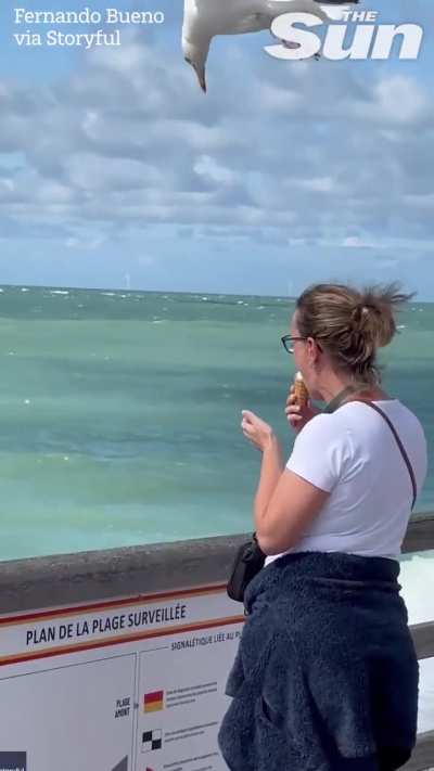 Caught on camera: seagull steals woman&rsquo;s ice cream in &Eacute;tretat, France 🇫🇷 (Video by Fernando Bueno)