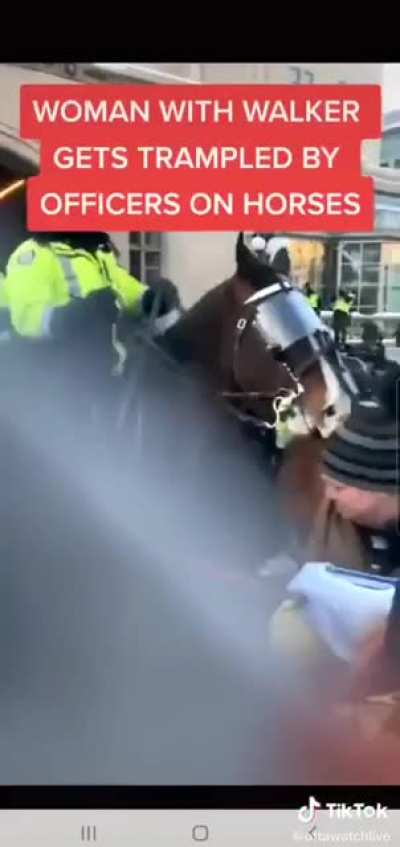 加拿大老奶奶在抗议活动中被警马踩踏