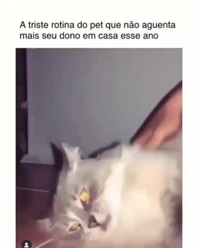 Verdade seja dita