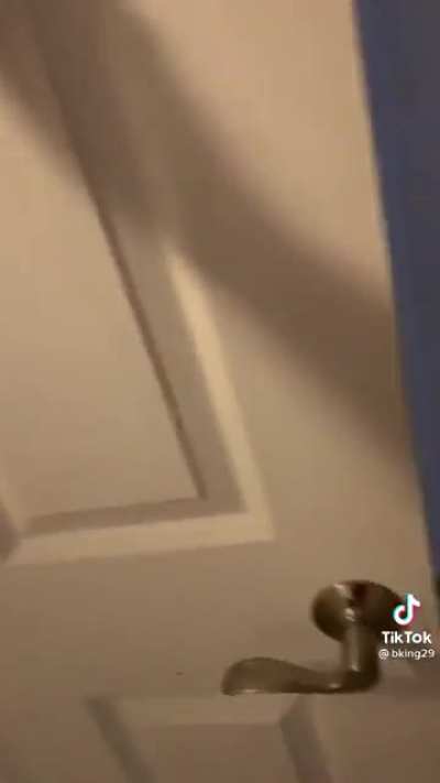 Dog doesn&rsquo;t like to be alone