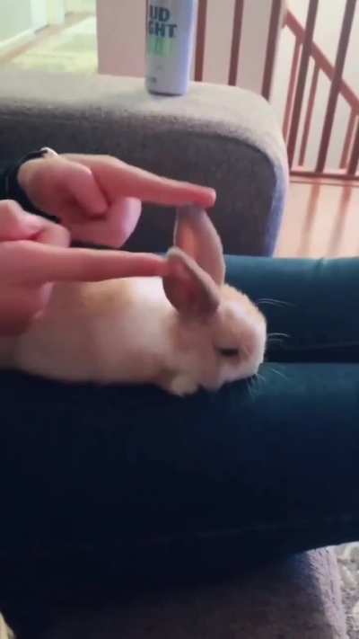 Bnuuy