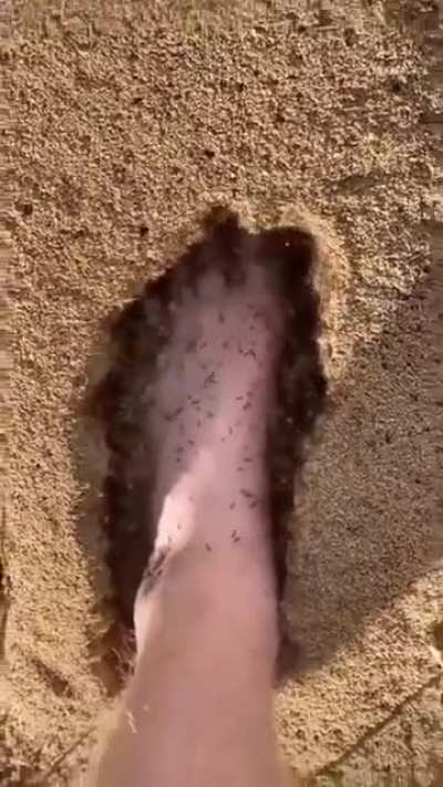 Just why...?!?