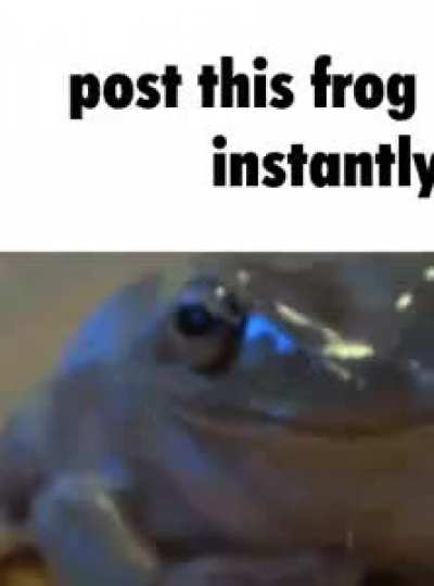 Rule
