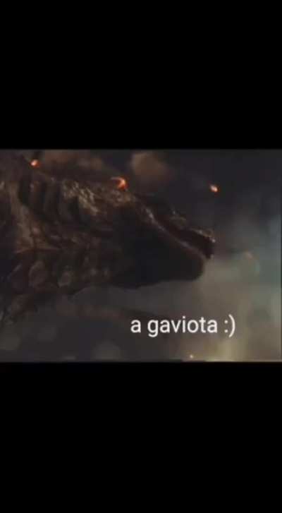 titulo &eacute; do time lagartixa