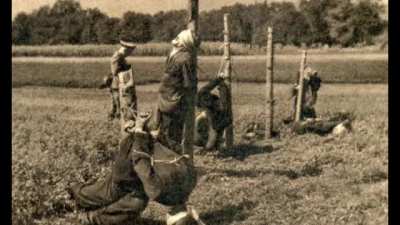 Communist Romania was so great/s