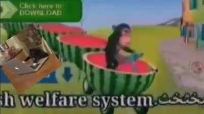 🐵