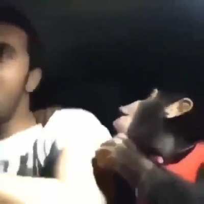 monke