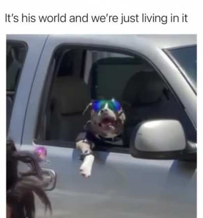 Big P.I.M.P