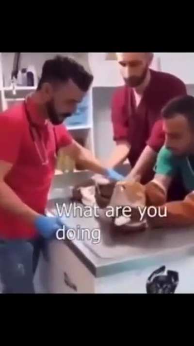 Snip snip