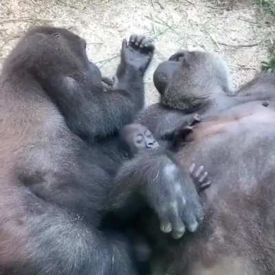 Waking up with kids