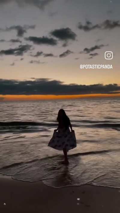 Panda 🐼 In Hawaii