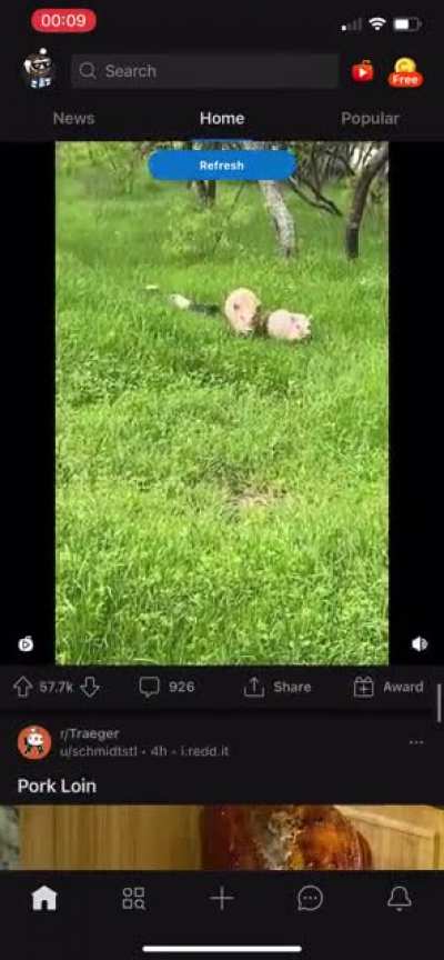Blursed reddit home page&hellip;