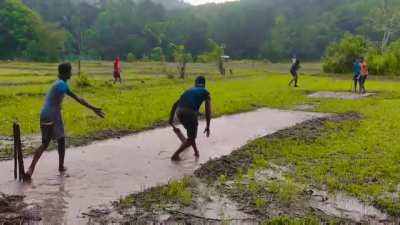 Cricket in England be like