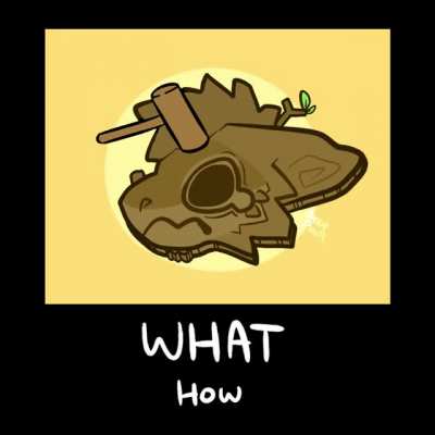 bonk_irl