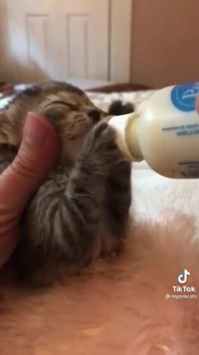 They drink