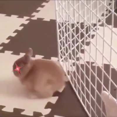 The fluff of death
