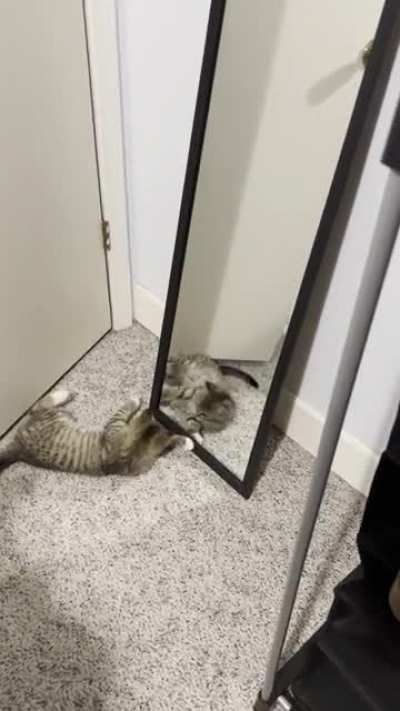 We&rsquo;ve recently discovered our reflection.