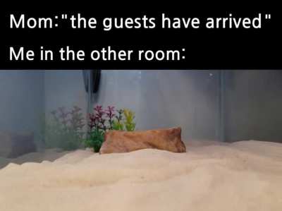 Time to hide