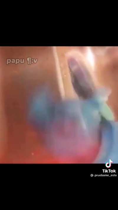 Da Pig
