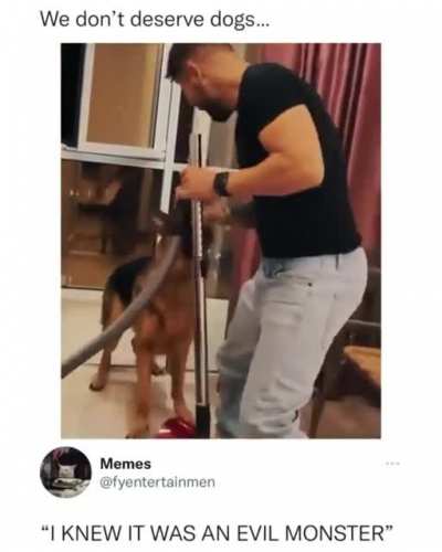 We don&rsquo;t deserve dogs.