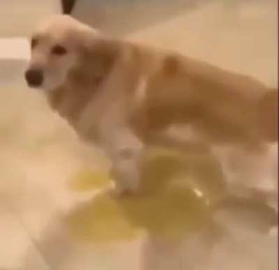 He shid