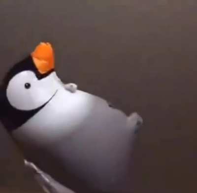 Rise