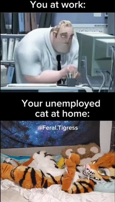 Losercity unemployment