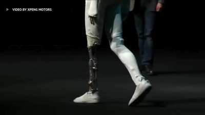Ever Seen A Robot Catwalk?
