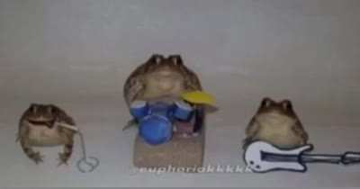 sapo qliao