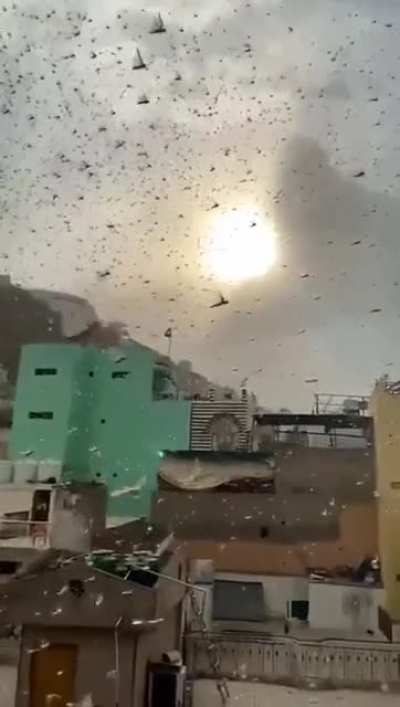 The apocalypse is now, old man