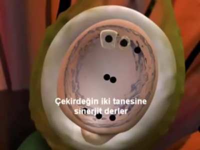 YKS son hazırlık