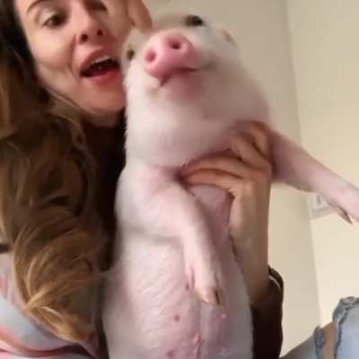 The snoot has been booped