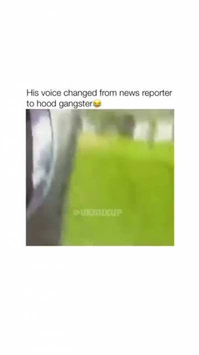 Bug flies into reporters mouth