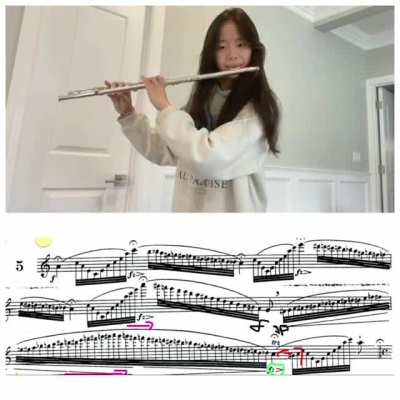 Paganini Caprice No.5 Flute Version! Tried my best to learn this as a side exercise for 4 days, it&rsquo;s a little sacrilegious but I enjoyed the challenge! Violinists what do you think 🎶
