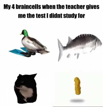 Brincel