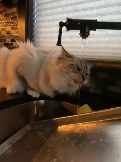 thisismylifenow