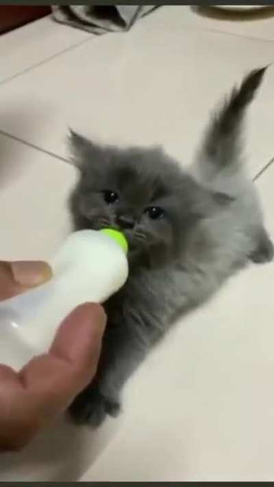 Awwwwwww