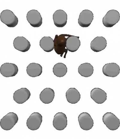horse plinko