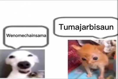 Wenome Chain-Sama