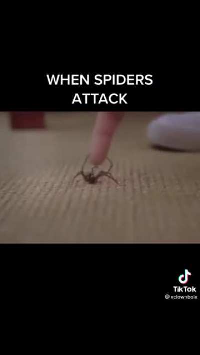 &ldquo;It&rsquo;s just a spider&rdquo;