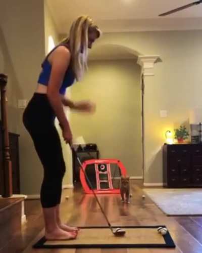 Insane reflexes