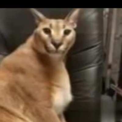 Si