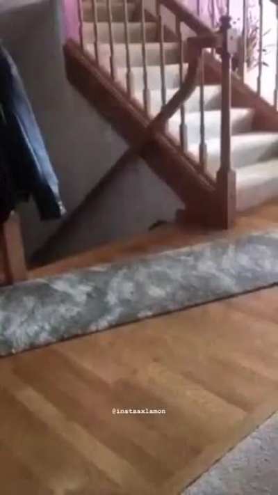AAAAAAAAAAAAA!