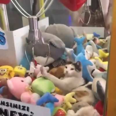 Toy crane