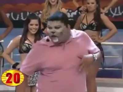 crazy cat dance
