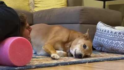 The floor is HER domain
