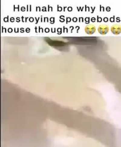 Don&rsquo;t do my homie spongebod like that 😭😭😭